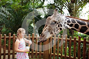Kids feed giraffe at zoo. Children at safari park