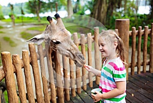 Kids feed giraffe at zoo. Children at safari park