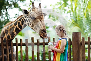 Kids feed giraffe at zoo. Children at safari park. photo