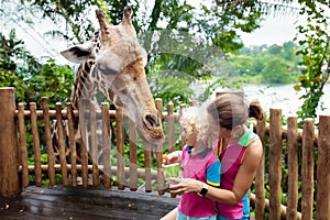 Kids feed giraffe at zoo. Family at safari park.