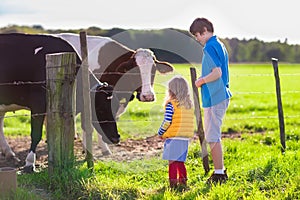 Kids feeding cow on a farm