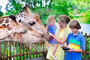 Kids feeding giraffe in a zoo