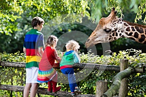 Kids feeding giraffe at the zoo