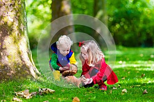 Kids feeding squirrel in autumn park