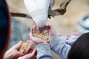 Kids feeding on a white cockatoo