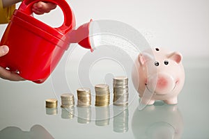 Kids financial education concept with kid`s hands watering ascending piles of money and piggybank