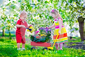 Kids in a garden with blooming cherry trees