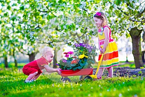 Kids in a garden with blooming cherry trees