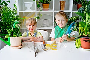 Kids gardening in greenhouse