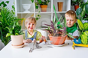 Kids gardening in greenhouse