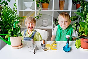 Kids gardening in greenhouse