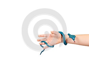 Kids hand with fake snake toy, rubber animal for game