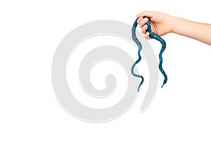 Kids hand with fake snake toy, rubber animal for game