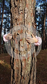 Kids hands hugging tree trunk