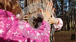 Kids hands hugging tree trunk