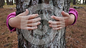 Kids hands hugging tree trunk