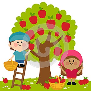 Children picking apples under an apple tree. Vector Illustration photo