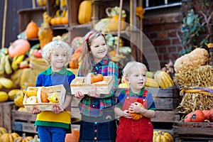 Kids having fun at pumpkin patch