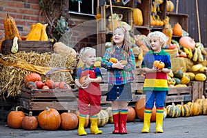 Kids having fun at pumpkin patch