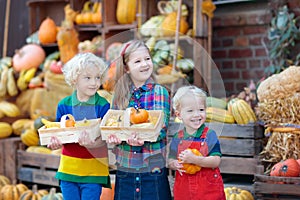 Kids having fun at pumpkin patch