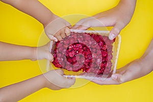 Kids holding raspberries in container, top view