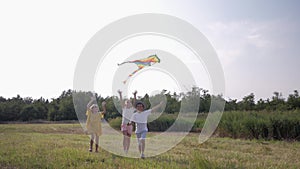 Kids with kite, satisfied childs have fun in meadow during summer holidays against blue sky and reeds, concept of