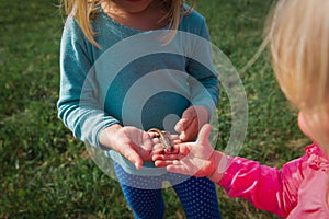 Kids learning - kids holding and exploring lizard