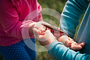 Kids learning - kids holding and exploring lizard