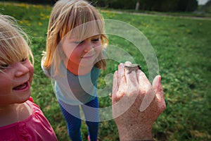 Kids learning - kids looking at and exploring lizard in nature