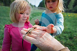 Kids learning - kids looking at and exploring lizard in nature