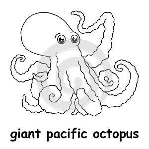Kids line illustration coloring giant pacific octopus. animal outline