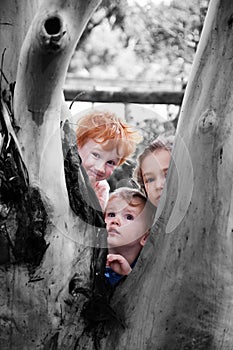 Kids looking around tree in nature garden