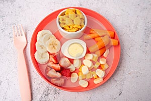 Kids lunch plate with variety of fruit, vegetable and protein.