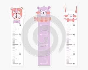 Kids Meter Wall with Cute Animals Set, Stadiometer for Little Children Vector Illustration photo