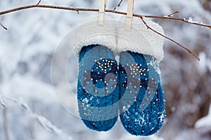 Kids mittens and gloves hanging on a branch in winter forest