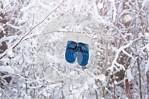 Kids mittens and gloves hanging on a branch in winter forest