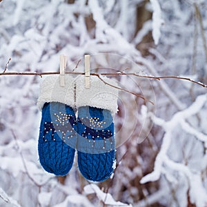 Kids mittens and gloves hanging on a branch in winter forest