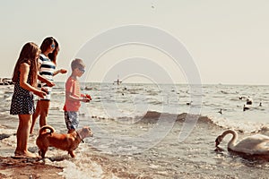 Kids and mother on beach have fun with swan.