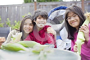 Kids peeling husk off ears of corn