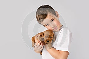 Kids pet friendship concept - little boy with red puppy isolated on white background