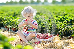 Kids pick strawberry on berry field in summer