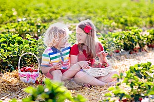 Kids pick strawberry on berry field in summer