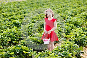 Kids pick strawberry on berry field in summer