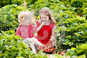 Kids pick strawberry on berry field in summer