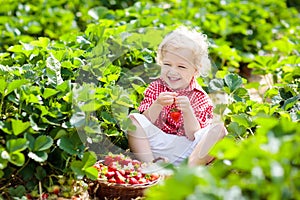 Kids pick strawberry on berry field in summer