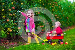 Kids picking apple on a farm