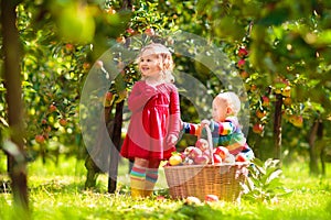 Kids picking apples on farm in autumn