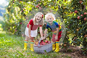 Kids picking apples in fruit garden