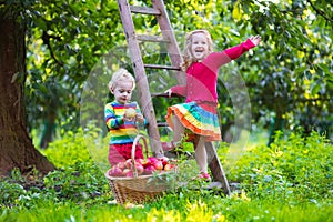 Kids picking apples in fruit garden