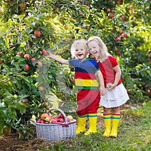 Kids picking apples in fruit garden